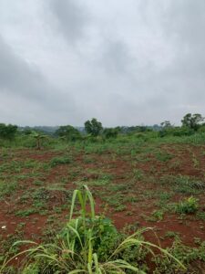 Terrain à vendre