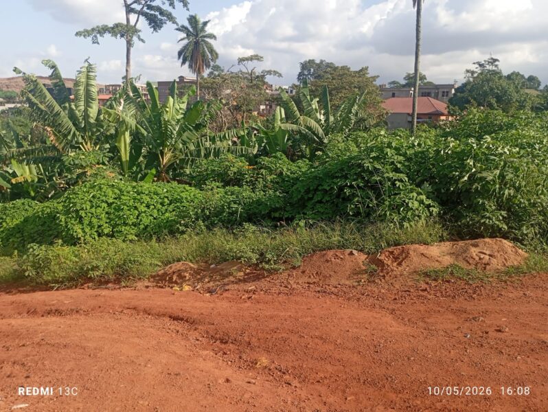 Terrain Commercial à vendre