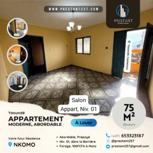 Incroyable Appartement Moderne Abordable à louer à Nkomo