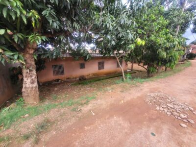Terrain Titré de 386m² avec Maison à vendre à Biyem-Assi
