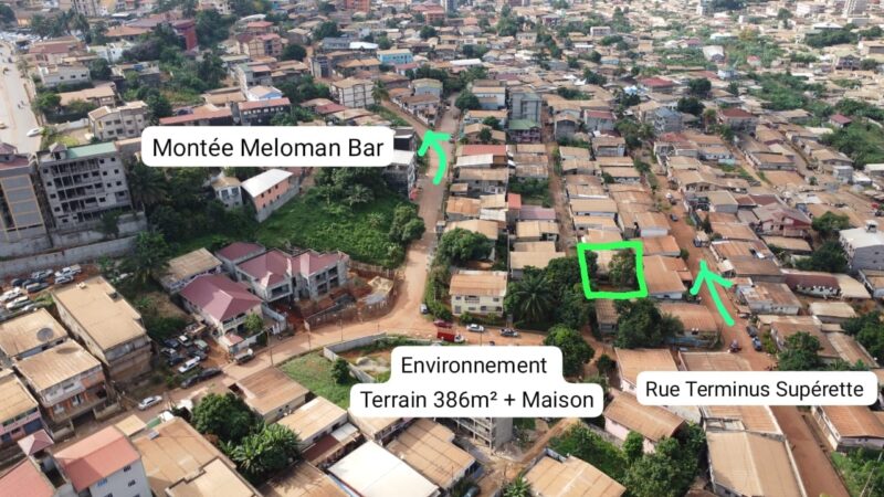 Terrain Titré de 386m² avec Maison à vendre à Biyem-Assi