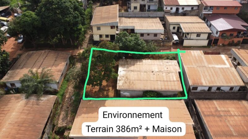 Terrain Titré de 386m² avec Maison à vendre à Biyem-Assi