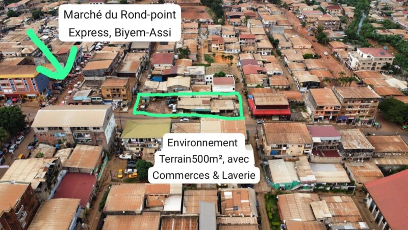 Terrain Commercial Titré de 500m² à vendre à Biyem-Assi