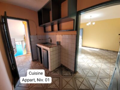 Incroyable Appartement Moderne Abordable à louer à Nkomo