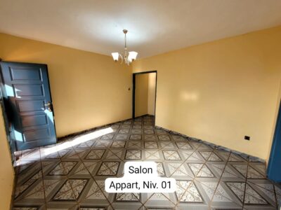 Incroyable Appartement Moderne Abordable à louer à Nkomo