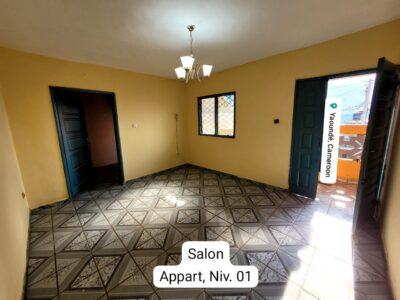 Incroyable Appartement Moderne Abordable à louer à Nkomo