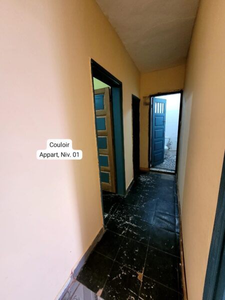 Incroyable Appartement Moderne Abordable à louer à Nkomo
