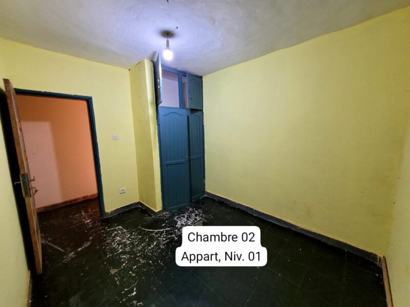 Incroyable Appartement Moderne Abordable à louer à Nkomo