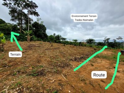 Terrain Titré de 5.000m² Morcelable à vendre à Nsimalen
