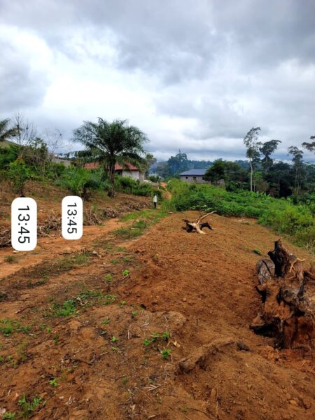 Terrain Titré de 5.000m² Morcelable à vendre à Nsimalen