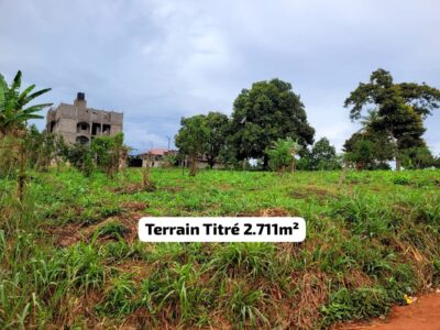 Magnifique Terrain d'Angle Titré de 2.711m² à vendre à Nomayos