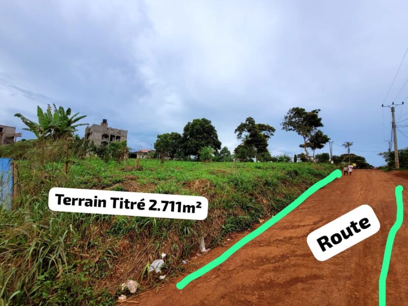 Magnifique Terrain d'Angle Titré de 2.711m² à vendre à Nomayos