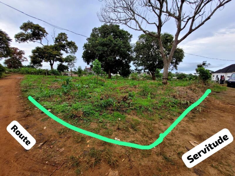 Magnifique Terrain d'Angle Titré de 2.711m² à vendre à Nomayos