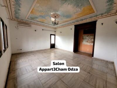 Vaste Appartement Bon Standing 3Chambres à louer à Odza